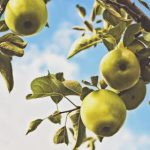 365足球与传统体育频道的优势与劣势对比 3lflla