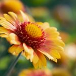 ag电子平台的优势:为何越来越多玩家选择它 aox0sr