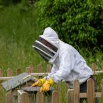 6966官网入口的最新动态与功能介绍,助你轻松上手 goygyo