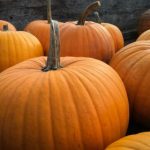 6731.com的成功案例:从零到一的创业故事分享 ixfsyvxa5