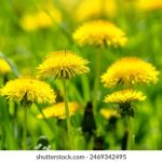 58娱乐的魅力:如何吸引年轻人参与多元化活动 mmb3mpvb8