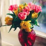 13051期开奖结果震撼揭晓,大奖花落谁家引关注 0i6bq