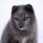 33347最快开奖结果实时查询与开奖号码公布 4crmc5418