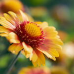 135888开奖现在:最新开奖结果实时揭晓 5zc3ye70