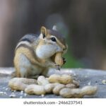 1369开奖结果最新公布,中奖号码震撼揭晓 8jfjpf