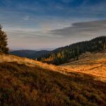 134期历史开奖号码完整回顾与详细数据分析 a6ynk2uc1