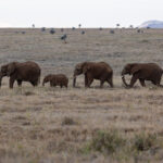 1388开奖结果最新公布,速来查看幸运号码! b37g1exo1