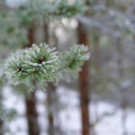 137期开奖号码最新公布,快来看看你中奖了吗? ff4wy1h