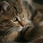 1378开奖记录最新数据统计与历史回顾 uyt25da9