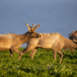 330开奖结果揭晓,幸运号码震撼公布 vc5yk