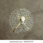 330330开奖资料最新查询与结果分析 xfddc7